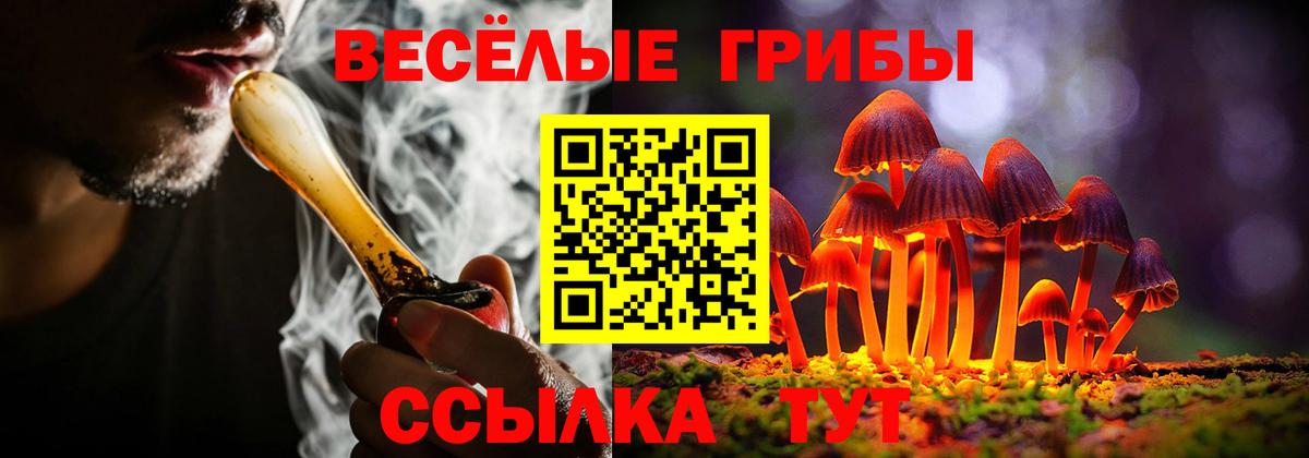 Псилоцибиновые грибы мицелий Подольск